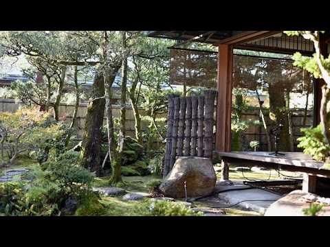 Видео: «Вечная красота Киото: спокойствие осени в традиционном японском саду»