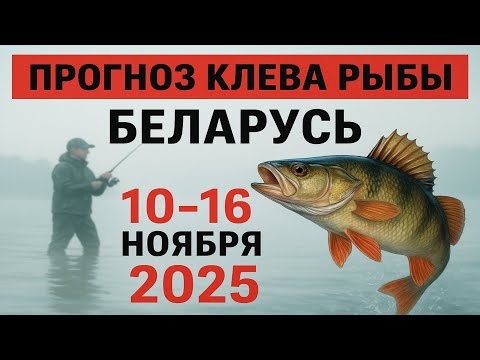 Видео: ПРОГНОЗ КЛЁВА в Беларуси с 10 по 16 ноября 2025: Бросай все и на рыбалку!