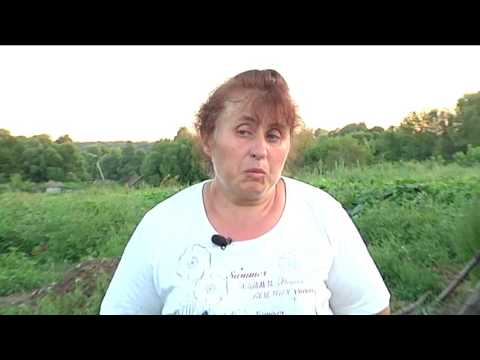 Видео: ДЕТСКИЙ ИНТЕРЕС. Касается каждого, эфир от 19.08.2016