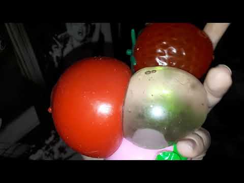 Видео: сквиши собаки !новые антистресы