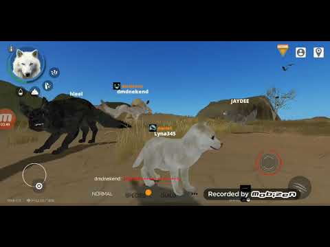 Видео: КАК СТАТЬ ЩЕНКОМ В WOLF ONLINE 2? ОТВЕТ ТУТ!!! ИГРАЮ ЗА ЩЕНКА