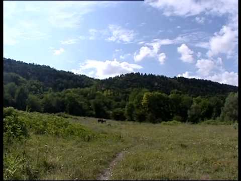 Видео: Истории маленьких гор.(док фильм о г.Каменка,ПМР) канал ТСВ ,2008 год