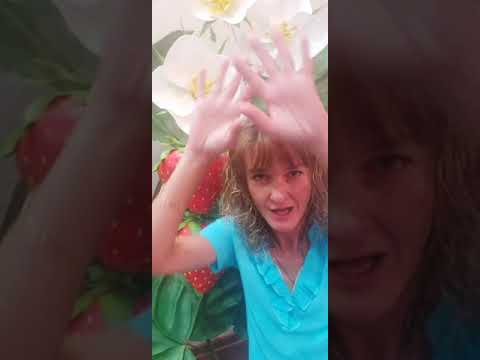 Видео: Подведение итогов РОЗЫГРЫША МАСТЕР-КЛАССА 🍓КУСТ КЛУБНИКИ ИЗ ИЗОЛОНА🍓