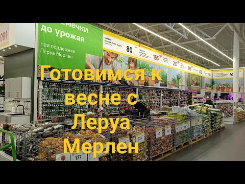 Видео: готовимся к весне с Леруа Мерлен #воронеж #скоровесна #цветы