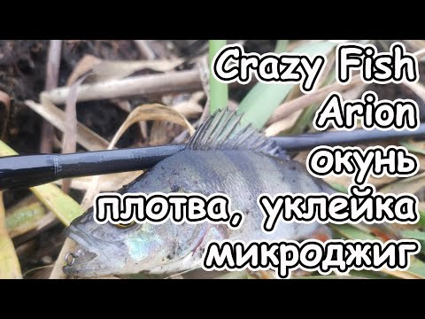 Видео: Мой новый спиннинг Crazy Fish Arion ловлю окуня, плотву и уклейку зимой, спиннинг для микроджига