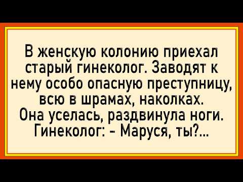 Видео: Как гинеколог ЗЕЧКУ осматривал! Сборник свежих анекдотов! Юмор!