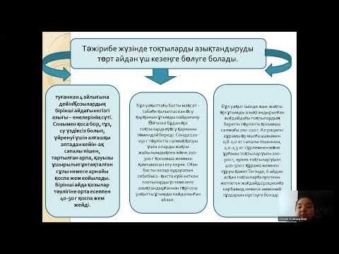 Видео: Қойларды бордақылау кезіндегі азықтандырудың ерекшеліктерін меңгеру