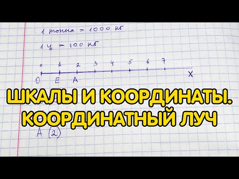 Видео: Шкалы и координаты. Координатный луч