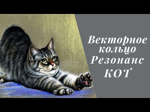 Видео: Векторное кольцо. Резонанс. Кот.