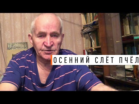 Видео: Осенний слёт пчёл. Кашковский В.Г. - Парк Плюс