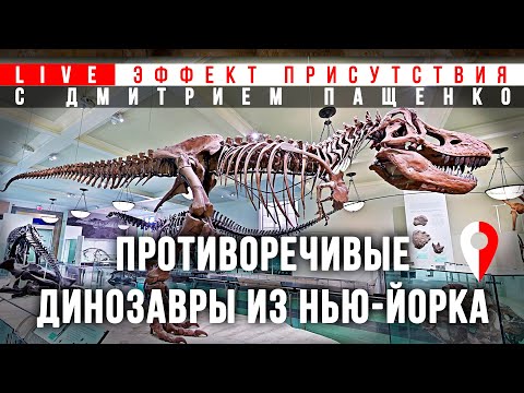 Видео: Противоречивые динозавры: Музей естественной истории (Нью-Йорк). #Эффект присутствия с Д. Пащенко