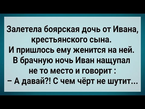 Видео: Как Боярская Дочь от Холопа Залетела! Сборник Свежих Анекдотов! Юмор!.