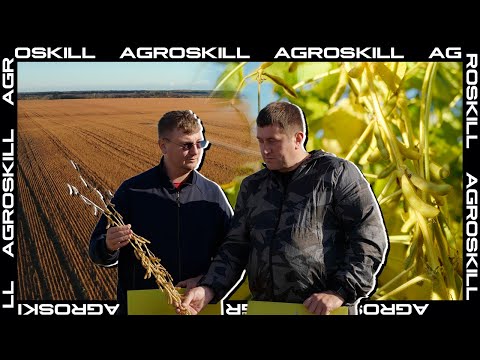 Видео: Обзор сортов сои от фермера Гриднева