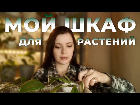 Видео: Мой шкаф для растений| Цветочный Влог | Пересадка растений