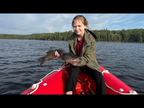 Видео: В Северную Карелию за шесть дней. Столько щук нам не съесть, учу дочь рыбачить.