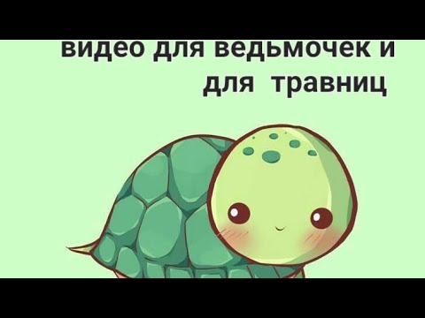 Видео: 11 минут видео для травниц и для ведьмочек! Из тик тока