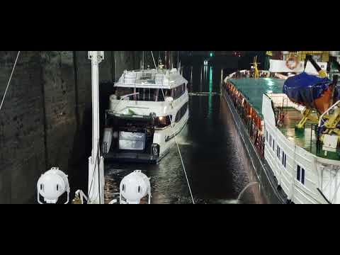 Видео: 18 июня 2025 г.