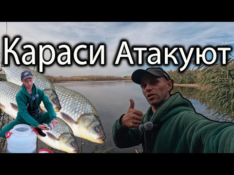 Видео: КАРАСИ АТАКУЮТ ТОП РЫБАЛКА НА КАРАСЯ В САРАТОВСКОЙ ОБЛАСТИ #рыбалка2025 #карасьнаудочку