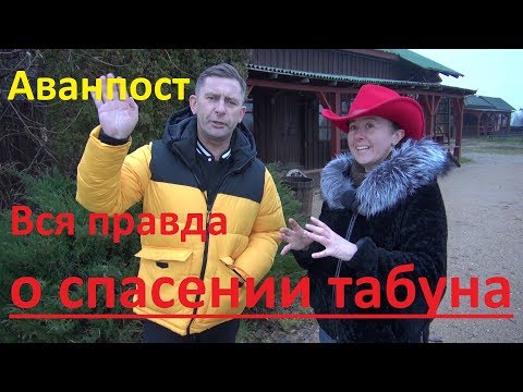 Видео: "Аванпост". Вся правда о спасении табуна с бойни.