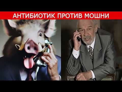 Видео: Радость у меня