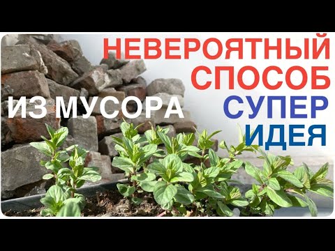 Видео: СУПЕР идеи для САДА! ЧУДЕСА За копейки! 🌺 КАК из СТАРОГО НЕНУЖНОГО СДЕЛАТЬ красивые СЪЕМНЫЕ клумбы