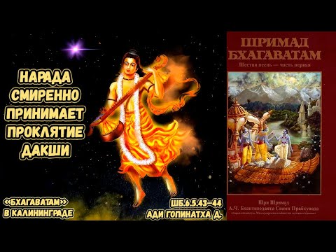 Видео: Нарада смиренно принимает проклятие Дакши. Ади Гопинатха д. ШБ.6.5.43–44