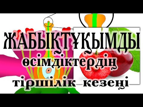 Видео: Жабықтұқымды өсімдіктердің тіршілік кезеңі. Гүлдің құрылысы. Қосарлы ұрықтану