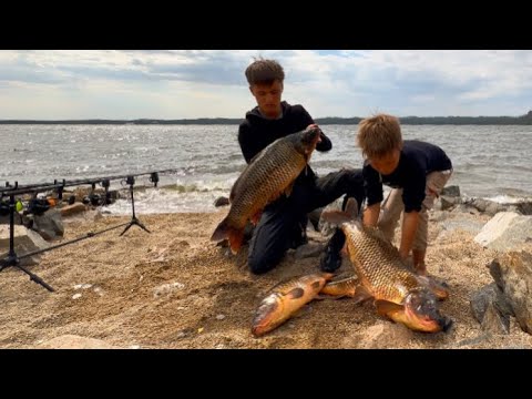 Видео: НАЛОВИЛИ ПОРОСЯТ, НЕ МОЖЕМ УНЕСТИ! САЗАН ПОШЕЛ! Ночная рыбка на сазана.