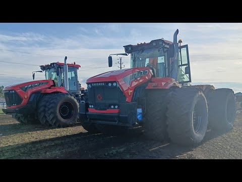 Видео: Тяжелая посевная 2024 с посивником Horsch pronto 8 sw