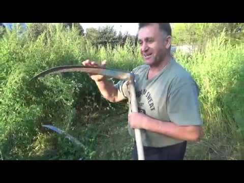 Видео: КОСА  Две коровы  ДЛЯ ПАСЕКИ