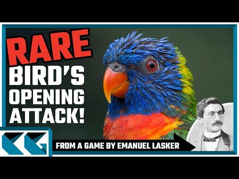 Видео: Шахматные дебюты: РЕДКАЯ атакующая идея в дебюте «Бёрд»!