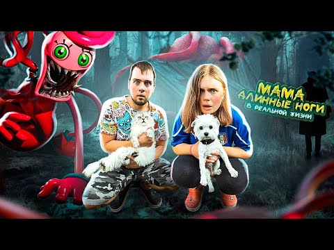 Видео: МАМА ДЛИННЫЕ НОГИ В РЕАЛЬНОЙ ЖИЗНИ ЛЯПОТА ТВ | НАШЛИ УЛИКИ С КОТАМИ И СОБАКОЙ