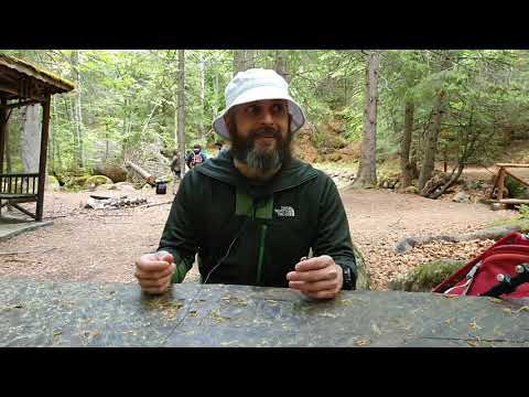 Видео: Какво е Вим Хоф Метод? (ВХМ) - обяснение за всички