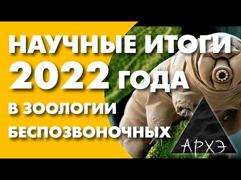 Видео: Вадим Марьинский: "Итоги 2022 года в зоологии беспозвоночных"