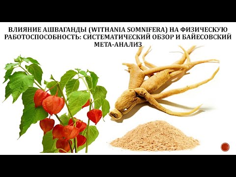 Видео: лекция: Влияние Ашваганды на физическую работоспособность.