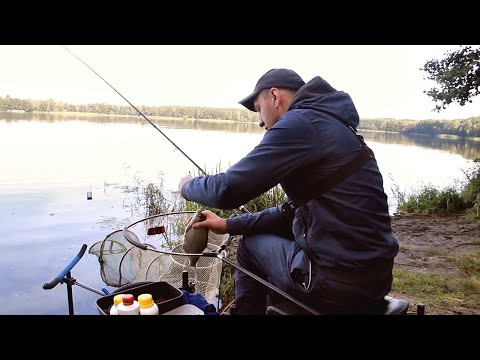 Видео: РЫБАЛКА на ФИДЕР в Беларуси 2021! ЛОВЛЯ ЛЕЩА ОСЕНЬЮ! ФИДЕРНАЯ ЛОВЛЯ!
