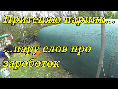 Видео: Притеняю парник... И пару слов про заработок на декоративных растениях...