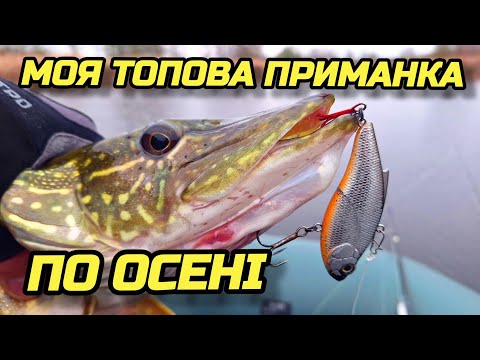 Видео: ✅️МОЯ ТОПОВА ПРИМАНКА ПО ОСЕНІ☝️