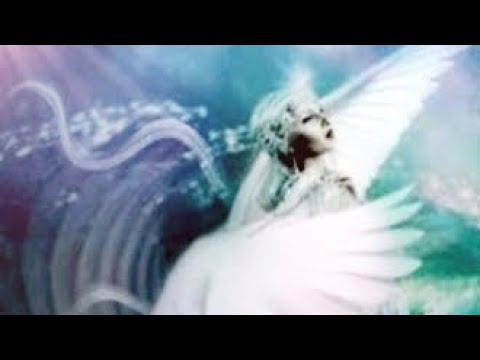 Видео: 😇Земные Ангелы🕊️#ЗемныеАнгелы #Ангелы