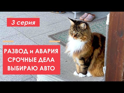 Видео: Развод и Авария. Бывший мой дом. Выбор авто. 3 серия.
