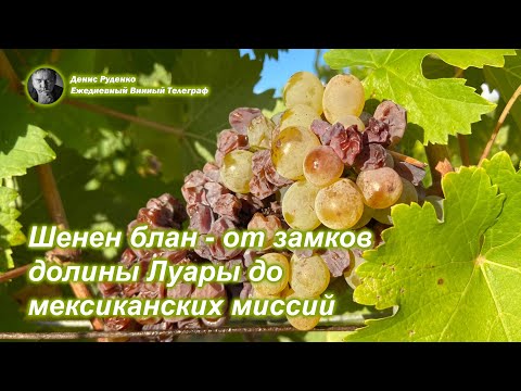 Видео: Шенен блан - от замков долины Луары до мексиканских миссий