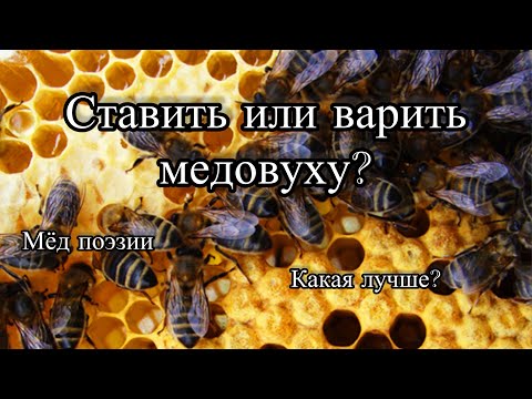 Видео: Вареная или Ставленная медовуха?