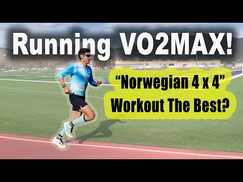 Видео: Тренировки Vo2max для бегунов: 4 тренировки по 4 минуты по «норвежскому методу» — лучший вариант?...
