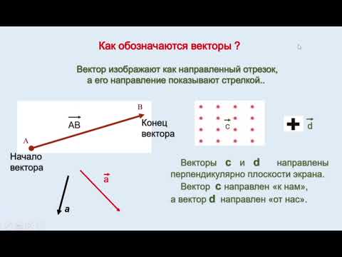 Видео: Векторные  физические величины.    Часть1