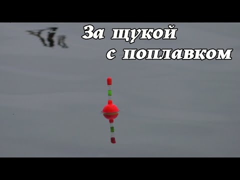 Видео: Ловля щуки на живца в ноябре. Рыбалка на поплавок поздней осенью