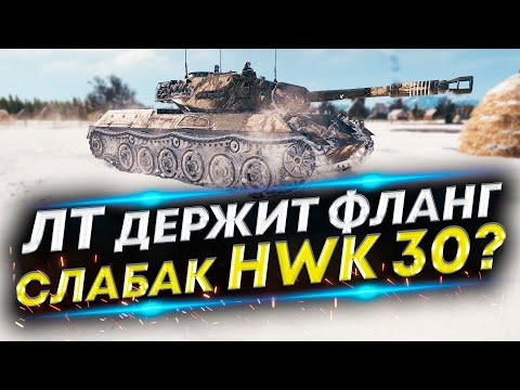 Видео: Как правильно играть на ЛТ? Позиция для защиты фланга на Эрленберге HWK-30