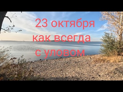 Видео: В морозное утро на рыбалку по открытой воде.
