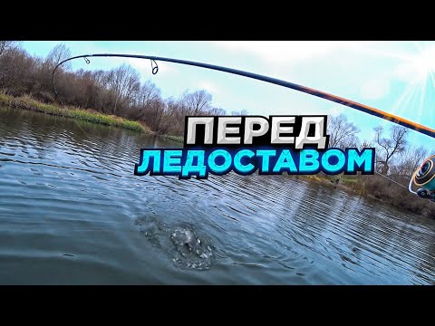 Видео: Вот тебе и жерех / Рыбалка перед ледоставом на щуку.