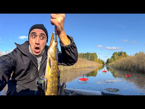 Видео: Ловля щуки на кружки и спиннинг. [24-Часа] На острове!