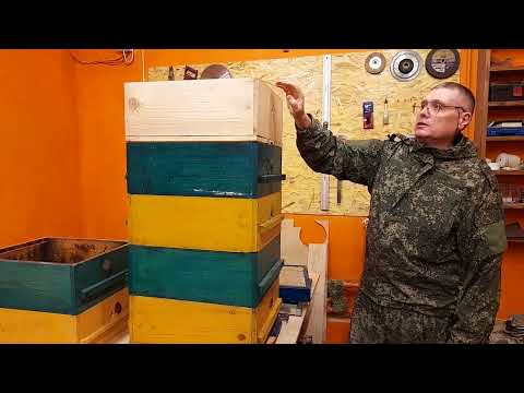 Видео: ГОД НА ПАСИКЕ, УНИКАЛЬНЫЙ МНОГОКОРПУСНОЙ УЛЕЙ, Ч.2.